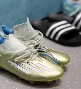 清晨意大利杯传出新动向，夏洛特黄蜂更衣室发声，管理层表态——压力陡增，训练强度明显提升的简单介绍-九游体育下载